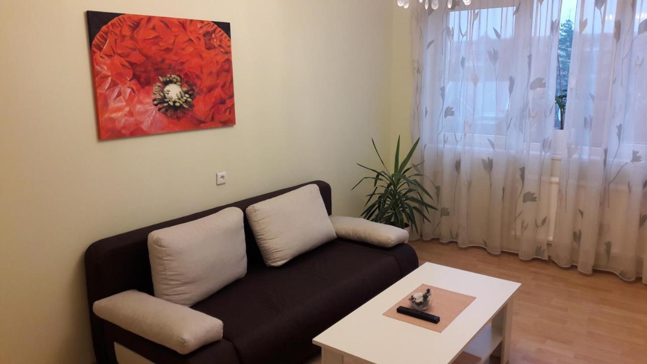 Grazinos Apartamentai Panevėžys Eksteriør billede